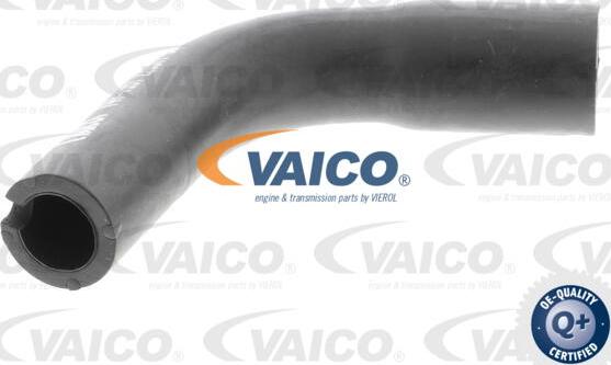 VAICO V40-1991 - Šļūtene, Kartera ventilācija www.autospares.lv