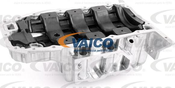 VAICO V40-1563 - Eļļas vācele www.autospares.lv