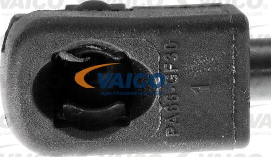 VAICO V40-1036 - Gāzes atspere, Motora pārsegs www.autospares.lv