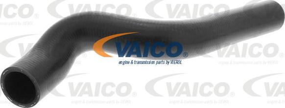 VAICO V40-1170 - Radiatora cauruļvads www.autospares.lv