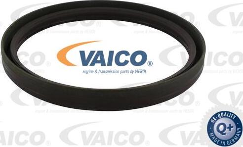 VAICO V40-1801 - Vārpstas blīvgredzens, Kloķvārpsta www.autospares.lv