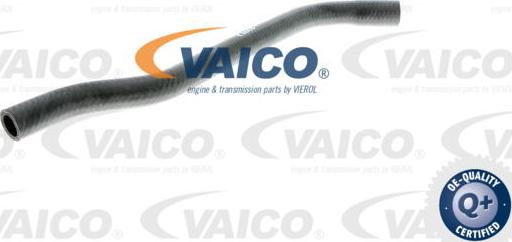 VAICO V40-1354 - Radiatora cauruļvads www.autospares.lv