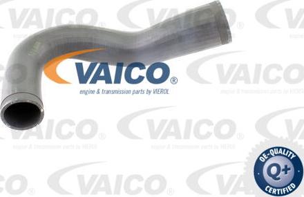 VAICO V40-1365 - Pūtes sistēmas gaisa caurule www.autospares.lv