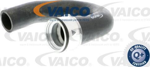 VAICO V40-1363 - Pūtes sistēmas gaisa caurule www.autospares.lv