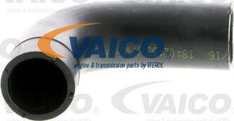 VAICO V40-1370 - Šļūtene, Kartera ventilācija www.autospares.lv