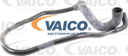 VAICO V40-1762 - Radiatora cauruļvads www.autospares.lv