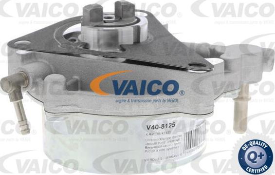 VAICO V40-8125 - Vakuumsūknis, Bremžu sistēma www.autospares.lv