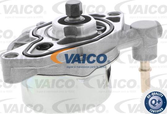 VAICO V40-8121 - Vakuumsūknis, Bremžu sistēma www.autospares.lv