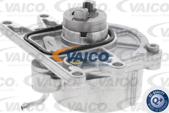 VAICO V40-8123 - Vakuumsūknis, Bremžu sistēma www.autospares.lv