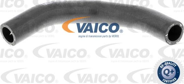 VAICO V40-2001 - Radiatora cauruļvads www.autospares.lv