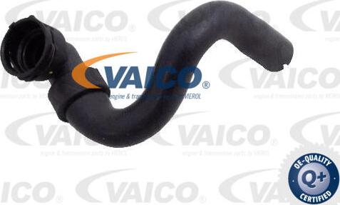 VAICO V40-2139 - Radiatora cauruļvads www.autospares.lv