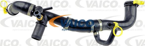 VAICO V41-0036 - Radiatora cauruļvads www.autospares.lv