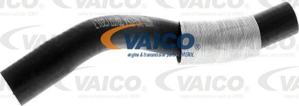 VAICO V42-0564 - Pūtes sistēmas gaisa caurule www.autospares.lv