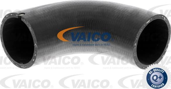 VAICO V42-0565 - Pūtes sistēmas gaisa caurule www.autospares.lv