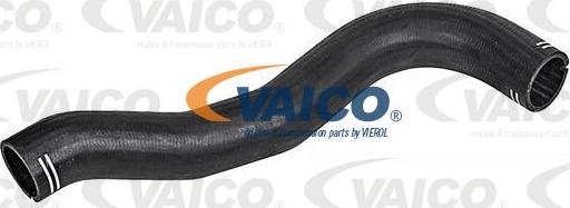 VAICO V42-0608 - Pūtes sistēmas gaisa caurule www.autospares.lv