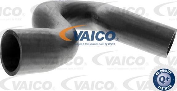 VAICO V42-0636 - Radiatora cauruļvads www.autospares.lv