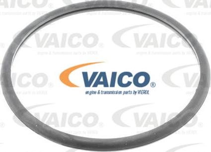 VAICO V42-0008 - Degvielas filtrs autospares.lv