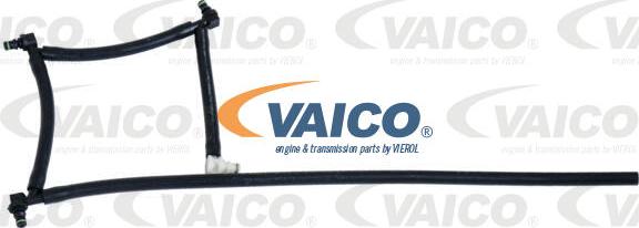 VAICO V42-0862 - Šļūtene, Degvielas noplūde www.autospares.lv