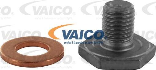 VAICO V42-0258 - Резьбовая пробка, масляный поддон www.autospares.lv