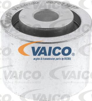 VAICO V42-0200 - Parazīt / Vadrullītis, Ķīļrievu siksna autospares.lv