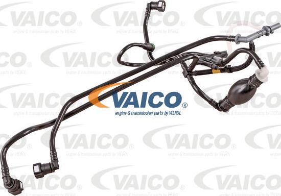 VAICO V42-0785 - Degvielas vads www.autospares.lv