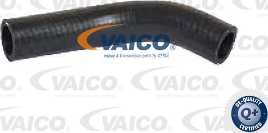 VAICO V42-1027 - Radiatora cauruļvads www.autospares.lv