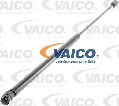 VAICO V50-0041 - Gāzes atspere, Bagāžas / Kravas nodalījuma vāks www.autospares.lv