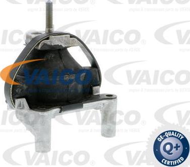 VAICO V50-0031 - Piekare, Dzinējs www.autospares.lv