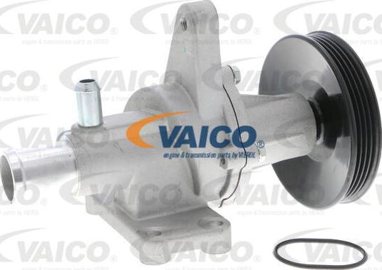 VAICO V51-50005 - Ūdenssūknis www.autospares.lv