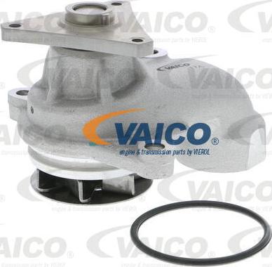 VAICO V53-50006 - Ūdenssūknis www.autospares.lv