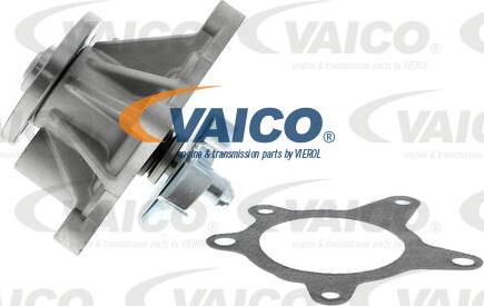 VAICO V53-50007 - Ūdenssūknis www.autospares.lv