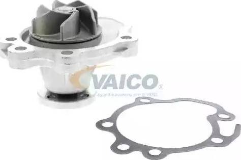 VAICO V64-50006 - Ūdenssūknis www.autospares.lv