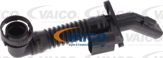 VAICO V10-9879 - Šļūtene, Motora galvas vāka ventilācija www.autospares.lv