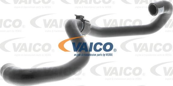 VAICO V10-4984 - Šļūtene, Apsildes sistēmas siltummainis www.autospares.lv