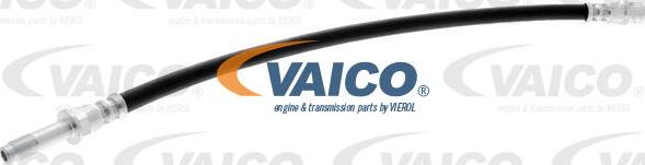 VAICO V10-4117 - Bremžu šļūtene www.autospares.lv