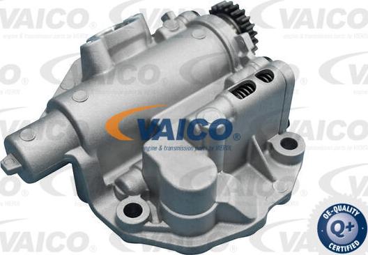 VAICO V10-4899 - Eļļas sūknis www.autospares.lv