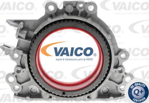 VAICO V10-4859 - Vārpstas blīvgredzens, Kloķvārpsta www.autospares.lv