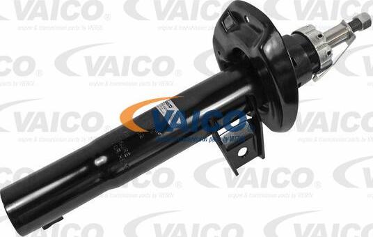 VAICO V10-4252 - Amortizators www.autospares.lv