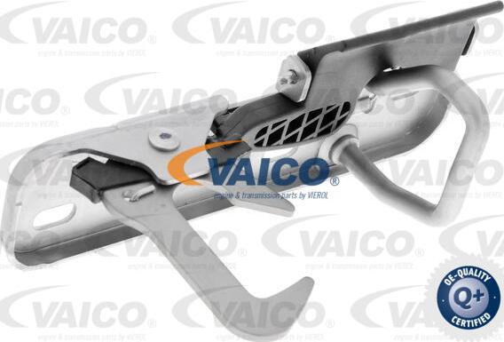 VAICO V10-4794 - Motora pārsega slēdzene www.autospares.lv