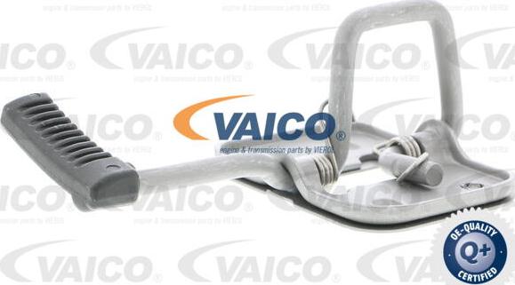 VAICO V10-4795 - Motora pārsega slēdzene www.autospares.lv