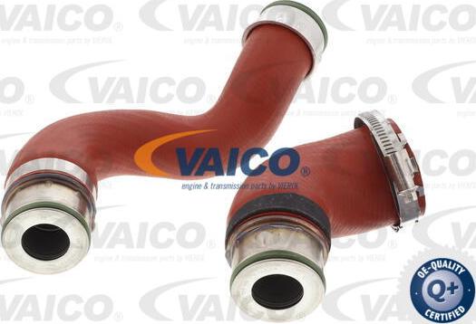 VAICO V10-5962 - Pūtes sistēmas gaisa caurule autospares.lv