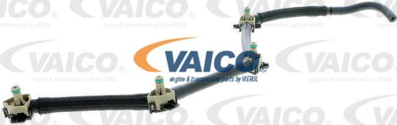 VAICO V10-5495 - Šļūtene, Degvielas noplūde www.autospares.lv