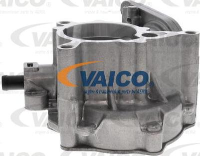 VAICO V10-5593 - Vakuumsūknis, Bremžu sistēma www.autospares.lv