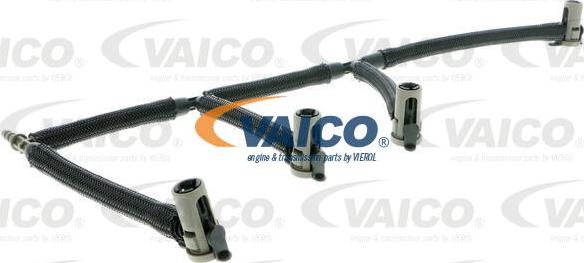 VAICO V10-5504 - Šļūtene, Degvielas noplūde www.autospares.lv