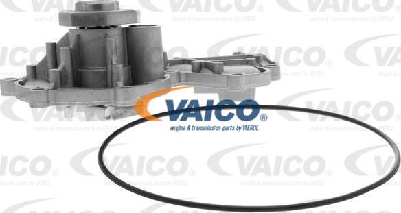 VAICO V10-50095 - Ūdenssūknis www.autospares.lv