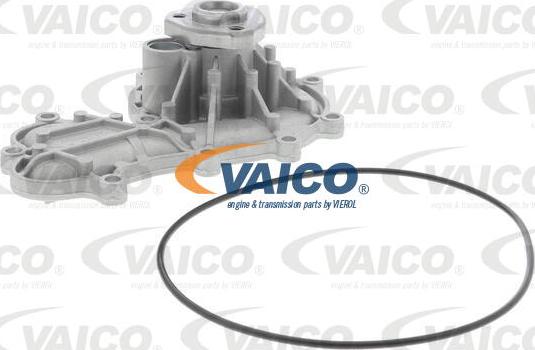 VAICO V10-50096 - Ūdenssūknis www.autospares.lv