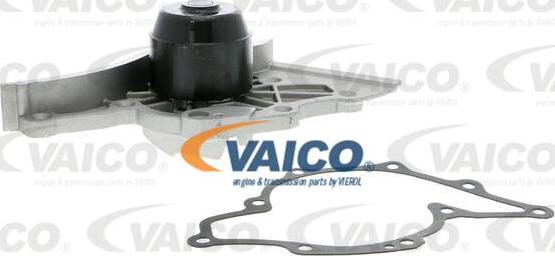 VAICO V10-50044 - Ūdenssūknis autospares.lv