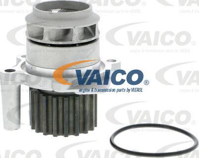 VAICO V10-50050 - Ūdenssūknis www.autospares.lv