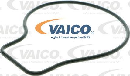 VAICO V10-50057 - Ūdenssūknis www.autospares.lv