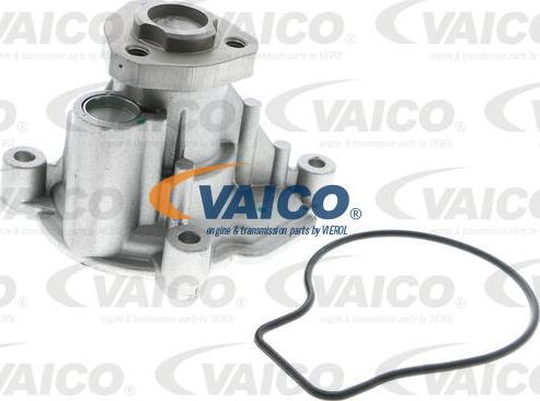 VAICO V10-50057 - Ūdenssūknis www.autospares.lv